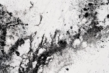 029 Chrio Monochrome Beta photo Yves Rousseau 11