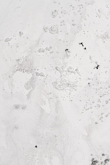 029 Chrio Monochrome Beta photo Yves Rousseau 12