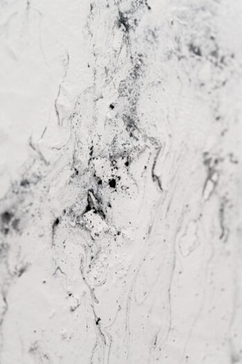 029 Chrio Monochrome Beta photo Yves Rousseau 2