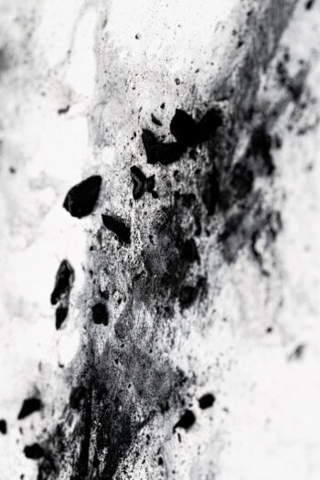029 Chrio Monochrome Beta photo Yves Rousseau 3