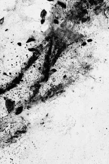 030 Chrio Monochrome Epsilon photo Yves Rousseau 3