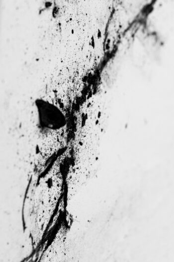 030 Chrio Monochrome Epsilon photo Yves Rousseau 4