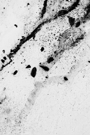 030 Chrio Monochrome Epsilon photo Yves Rousseau 5