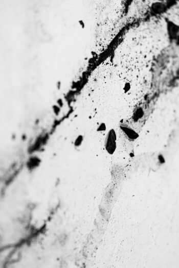 030 Chrio Monochrome Epsilon photo Yves Rousseau 9
